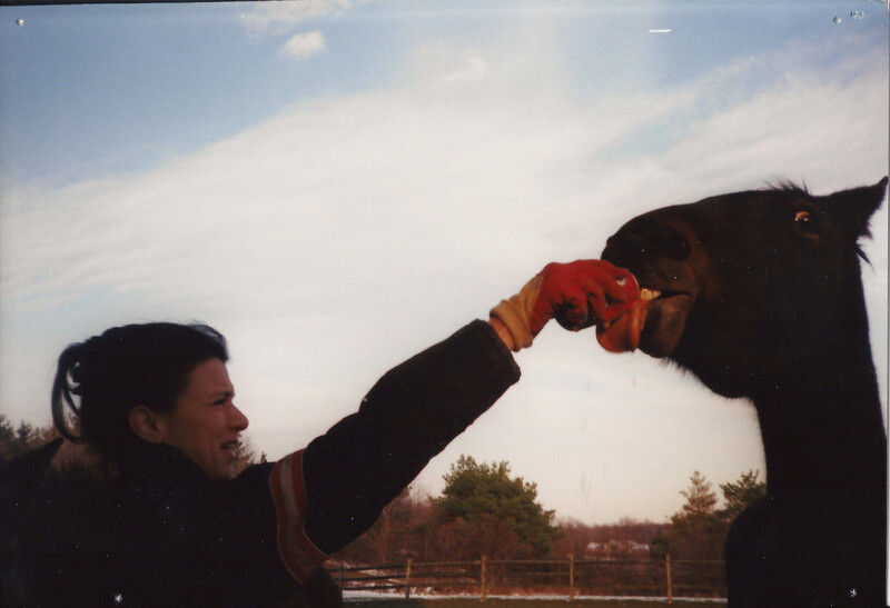 Woman in orange gloves feeding a black horse from her hand outdoors.