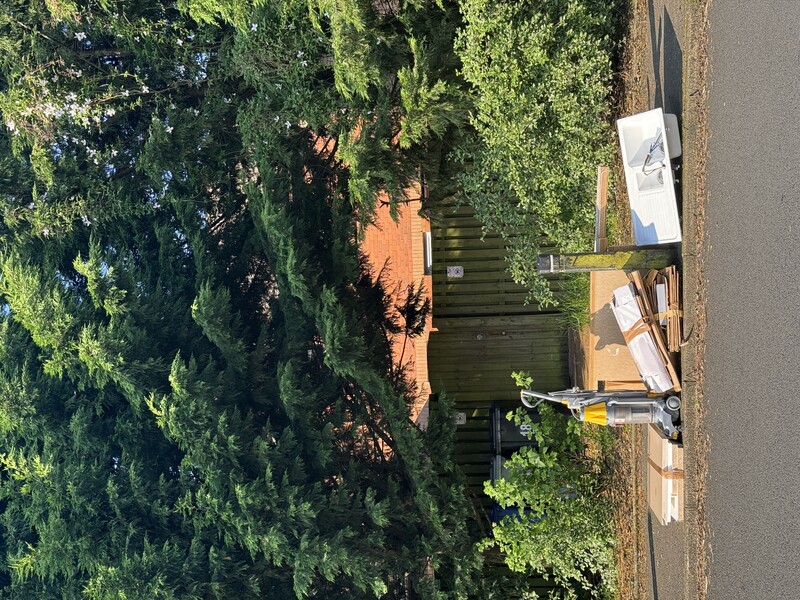 Discarded items and debris scattered on asphalt in front of a wooden structure surrounded by dense green foliage.