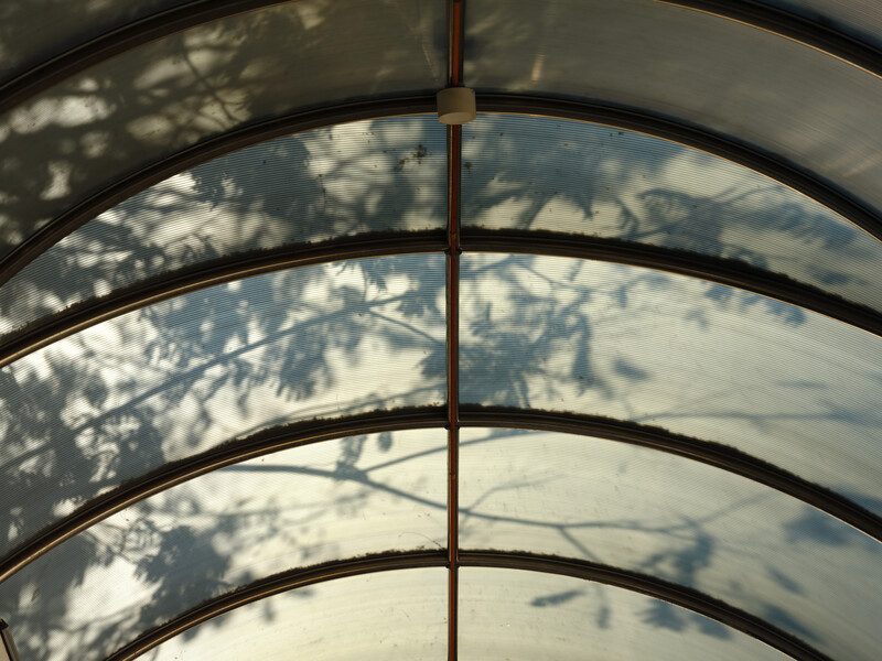 Curved glass panels with tree shadows and clouds visible through them.