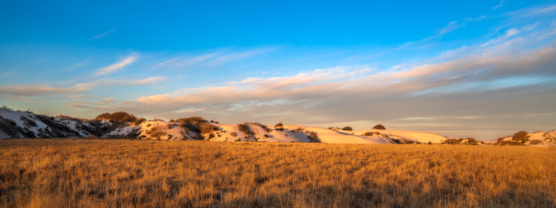Golden grassland with sandy hills under dramatic sunset sky with wispy clouds.