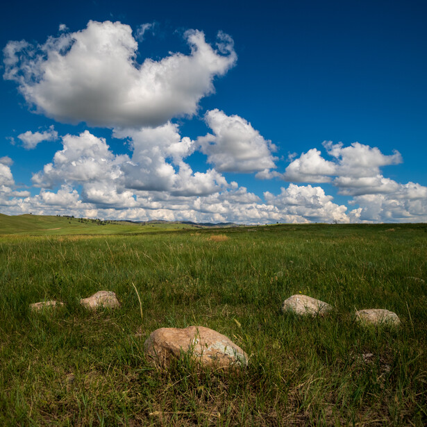 Wide grassland with scattered boulders under a blue sky with white cumulus clouds.