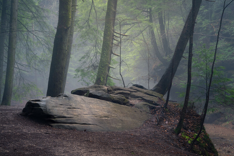 trailside scene in the rain and mist in Hocking Hills