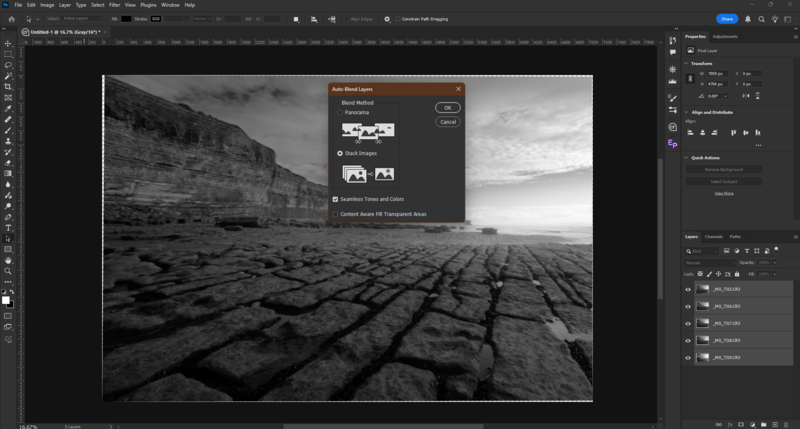 Screenshot of Adobe Photoshop showing the Dust & Scratches filter dialog box overlaid on a black and white landscape photograph.