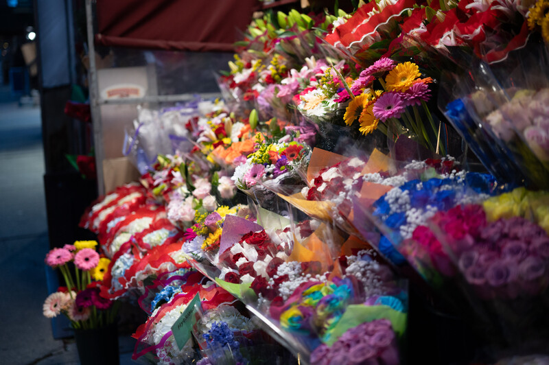 Flowers in a flower shop