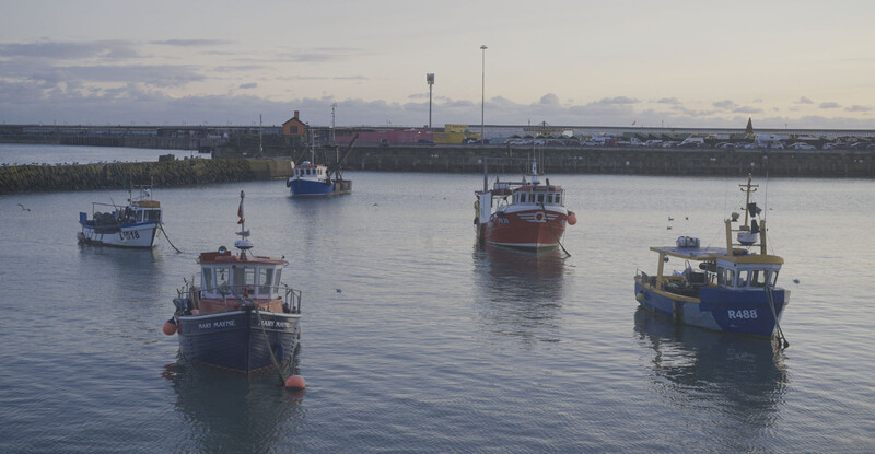 Four fishing vessels anchored in calm harbor waters during golden hour, with industrial waterfront and hills visible in the distance.