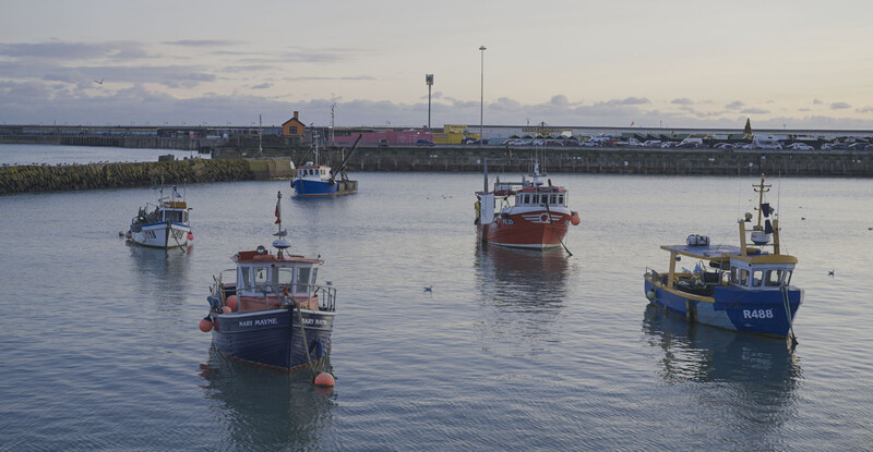 Four fishing vessels anchored in calm harbor water with industrial waterfront buildings visible in the distance.