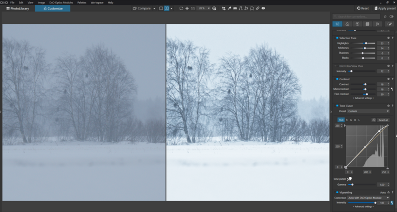 Screenshot of photo editing software showing before and after comparison of a snowy landscape with bare trees.
