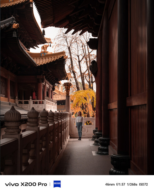 Narrow alleyway between traditional buildings with ornate eaves and wooden doors, bright natural light creating strong shadows.
