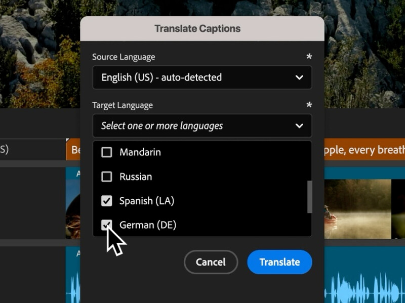 Screenshot of a caption translation dialog showing language selection options.