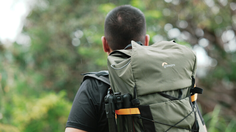 Hiker wearing a large gray backpack views a forested landscape from behind.