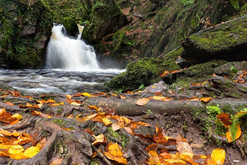 Small waterfall cascading over moss-covered rocks in a forest stream surrounded by autumn leaves.