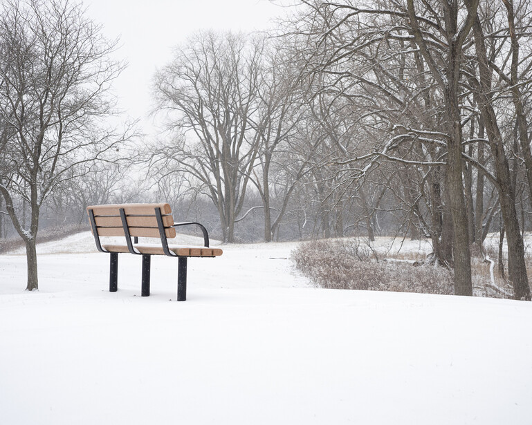 Wooden bench in snow-covered park with bare trees in misty background.