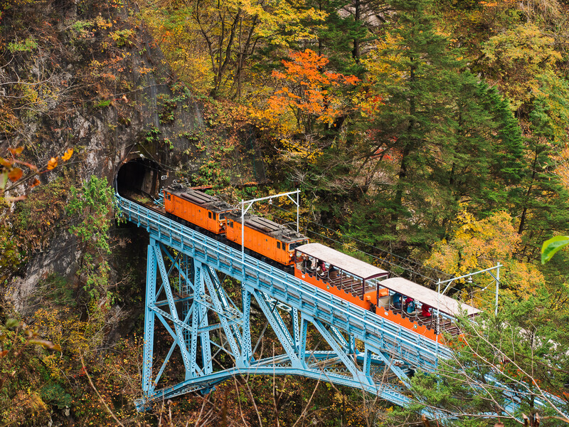 Orange and white train crossing a blue steel trestle bridge through autumn forest.