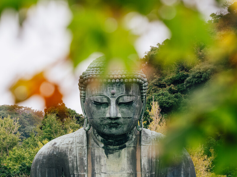Large stone Buddha statue covered in moss and surrounded by green foliage.