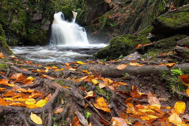 Waterfall cascading over moss-covered rocks with autumn leaves scattered across the foreground.