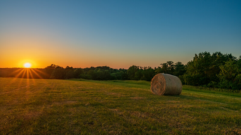 Round hay bale in a field at sunset with trees silhouetted against golden sky.