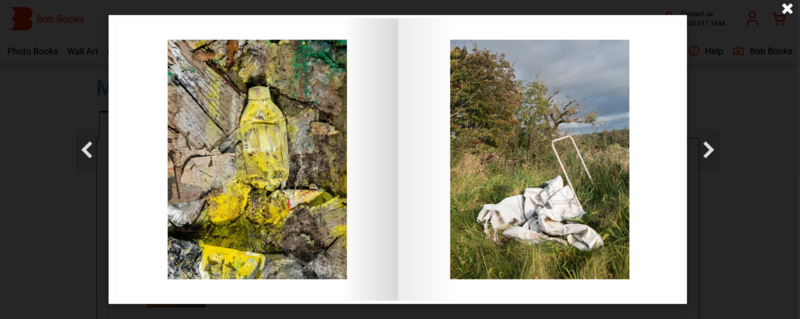 Yellow lichen or moss coating rocks and a bottle on a cliff face.