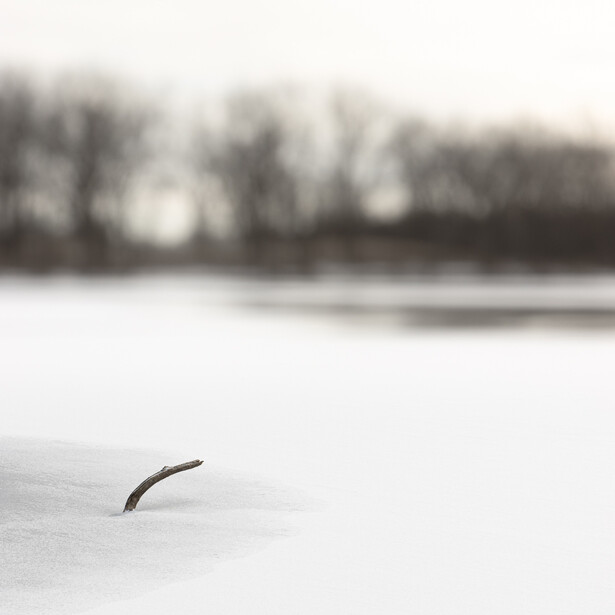 A landscape photo of a stick protruding from ice with a defocused background
