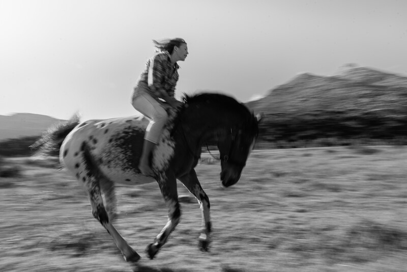 Rider on a spotted horse galloping across open terrain in motion blur.