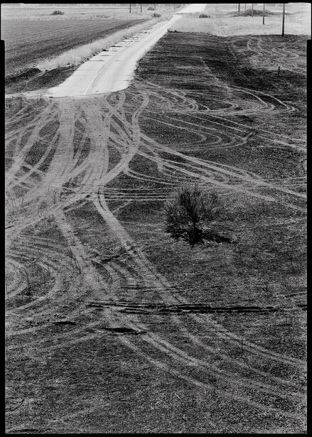 Aerial view of plowed agricultural fields with curved furrow patterns and a solitary tree casting a shadow.