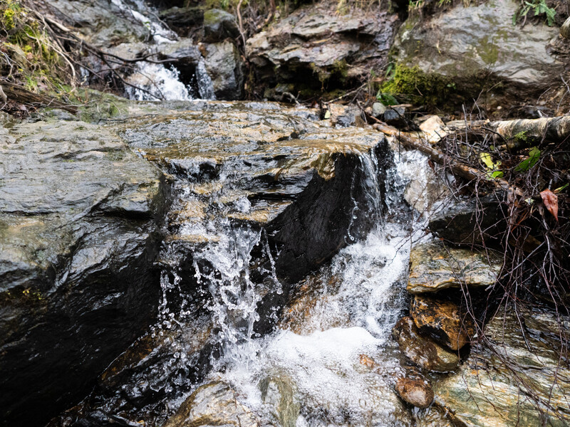 Cascading water flows over layered slate rocks with moss and vegetation in a natural stream setting.