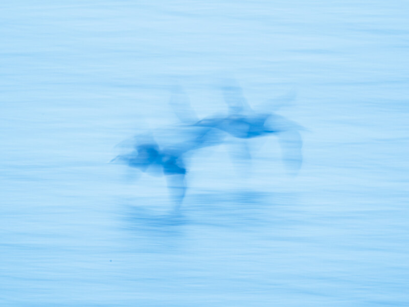Motion-blurred swimmer underwater against bright blue water with horizontal streaking effect.