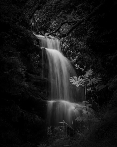 Multi-tiered waterfall cascading over dark rocks surrounded by lush vegetation in black and white.