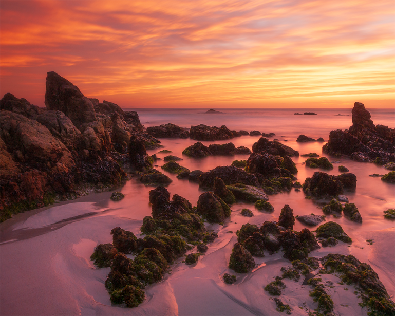 Rocky coastline at sunset with pink-toned shallow water and moss-covered boulders scattered across the beach.