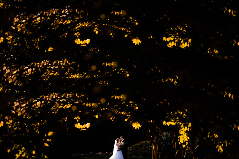 Couple stands in opening under trees for hard light photography tips example