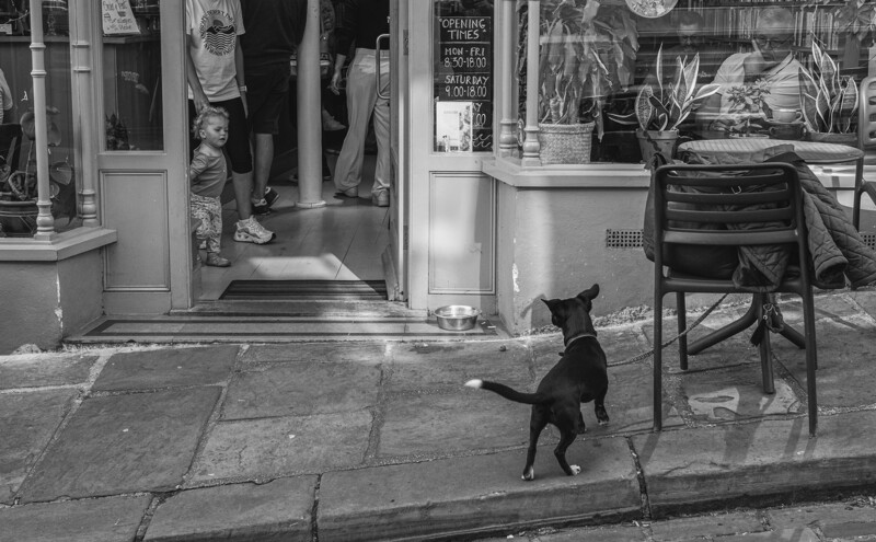 Black dog mid-stride on a stone sidewalk outside a storefront in black and white.