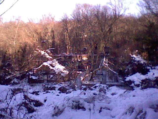 The Welwyn Preserve photographed with a Nintendo 3DS XL.