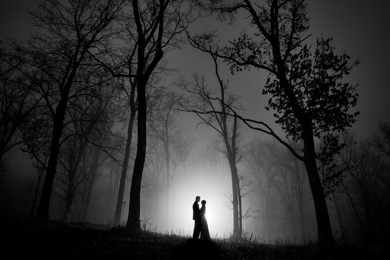 Silhouetted couple standing beneath bare trees against bright backlit fog.