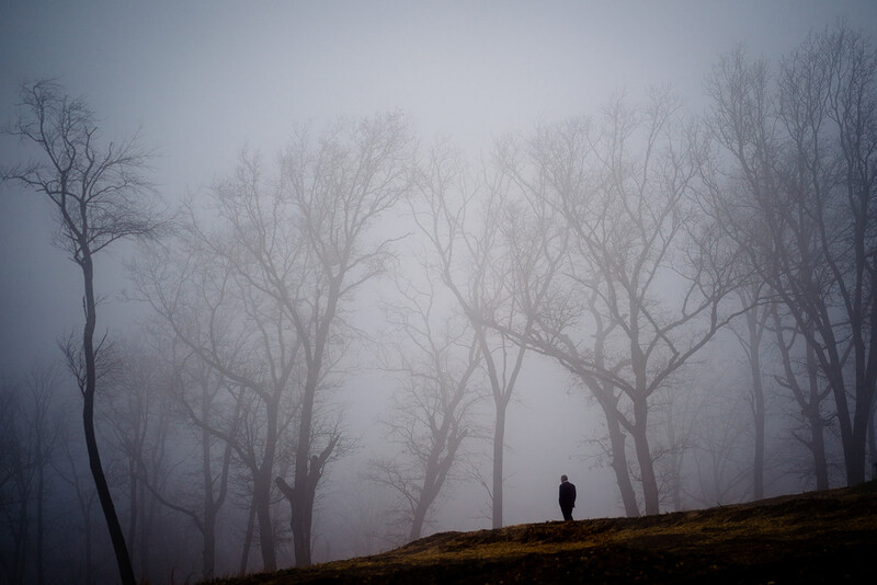 Solitary figure standing on a slope among bare trees shrouded in dense fog.