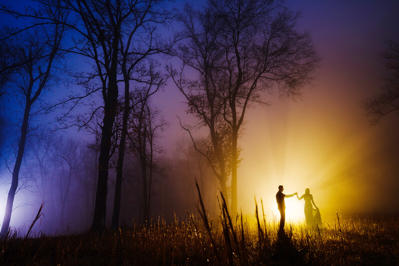 Two silhouetted figures holding hands in a misty field at sunset, surrounded by bare trees.