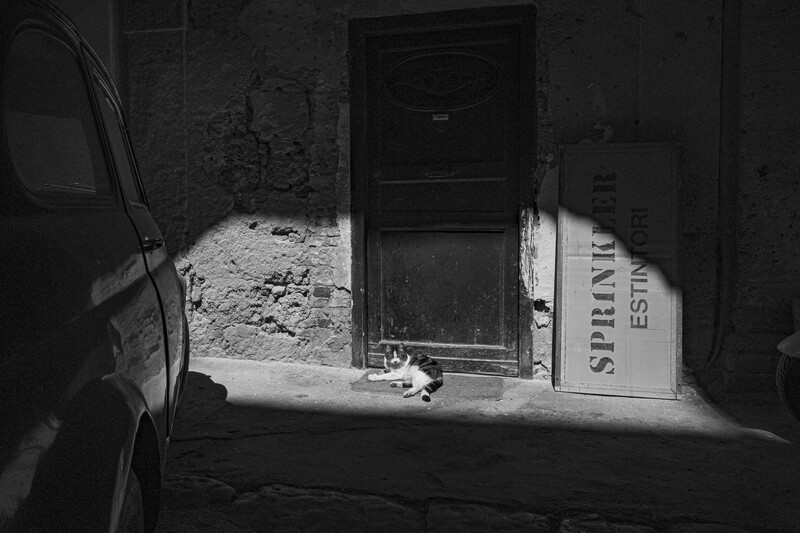 A cat sits in shadow beneath a weathered metal door in a narrow alley.