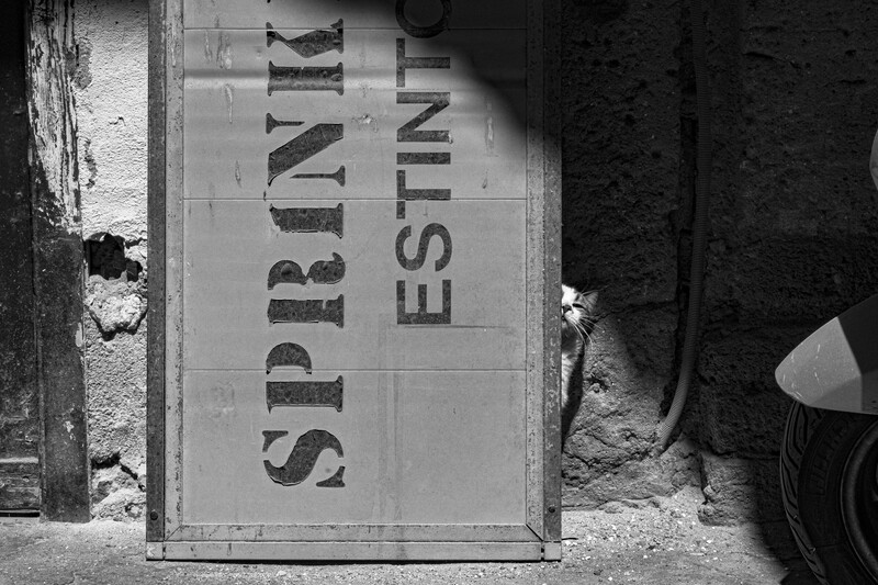Black and white photograph of weathered wooden box with partial text reading "SIREN" and "ESTIN" against concrete surface.