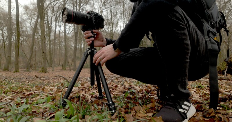 Photographer with DSLR mounted on tripod in bare woodland, adjusting camera settings.