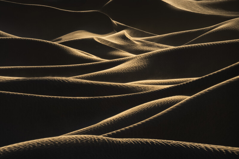 Desert sand dunes illuminated by low-angle sunlight against dark shadows, creating dramatic ridged patterns.
