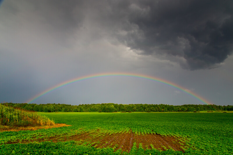Rainbow arcing across a green agricultural field under dark storm clouds.
