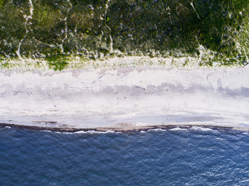 Aerial view of a sandy beach bordered by dense green forest and deep blue ocean water.