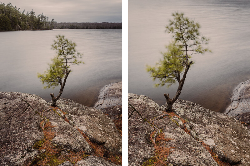 Solitary pine tree growing on a rocky outcrop overlooking a misty lake with forested shoreline.