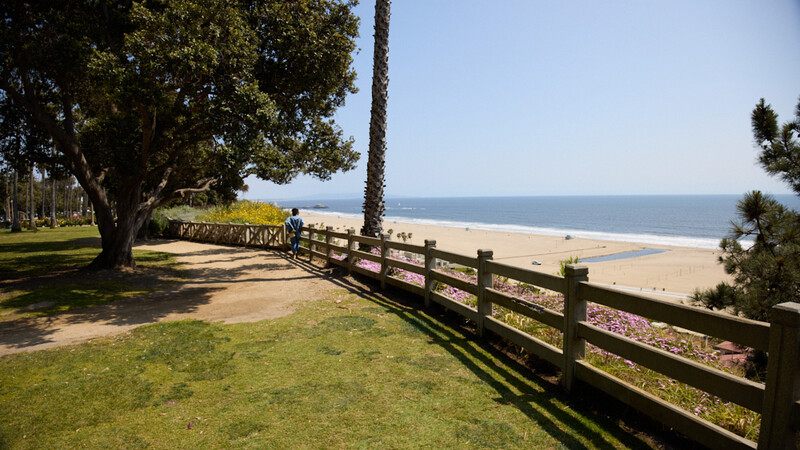 Wooden fence railing along a grassy coastal bluff overlooking a sandy beach and ocean.
