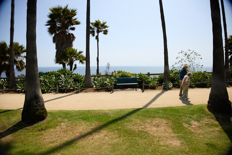 Palm trees casting long shadows across a sandy beachfront park with bench and ocean view.