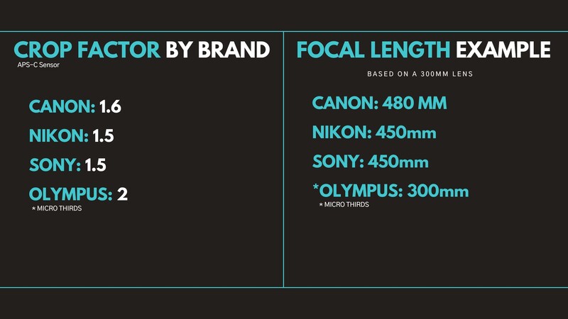 Graphic comparing camera crop factors and focal length equivalents across Canon, Nikon, Sony, and Olympus brands.