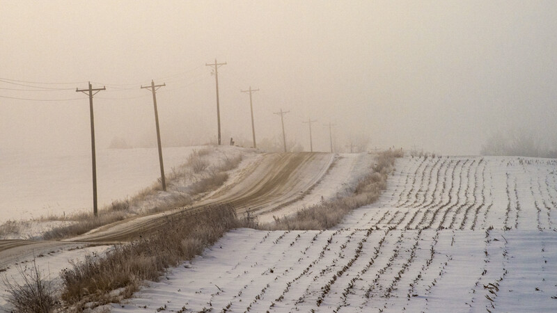 Snow-covered agricultural field with parallel crop rows stretching into heavy fog beneath wooden utility poles.