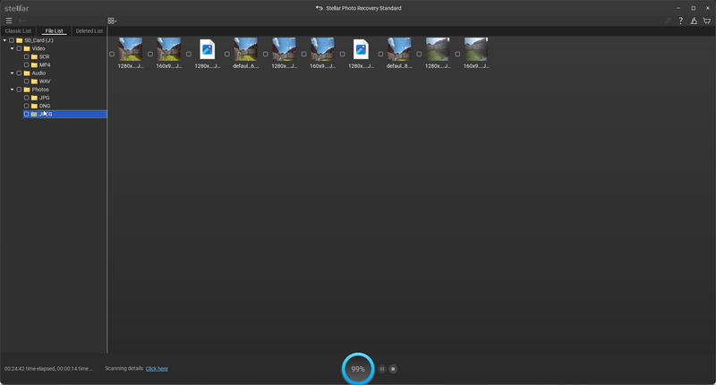 Screenshot of Stellar Photo Recovery Standard software interface showing recovered image files in thumbnail view.