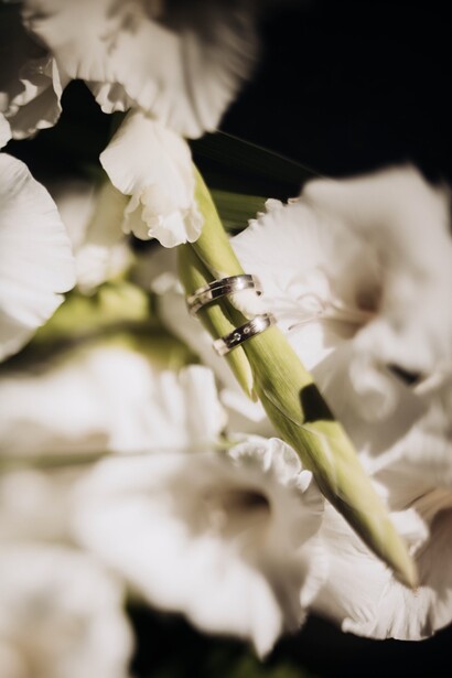Green insect on white flower stem with blurred petals in background.