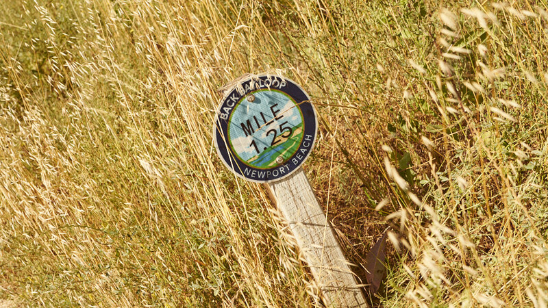 Mile marker 29 sign embedded in dry grass and vegetation along a trail or path.