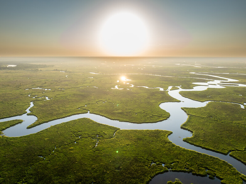 Aerial view of meandering rivers cutting through expansive wetlands and marshland at sunrise.