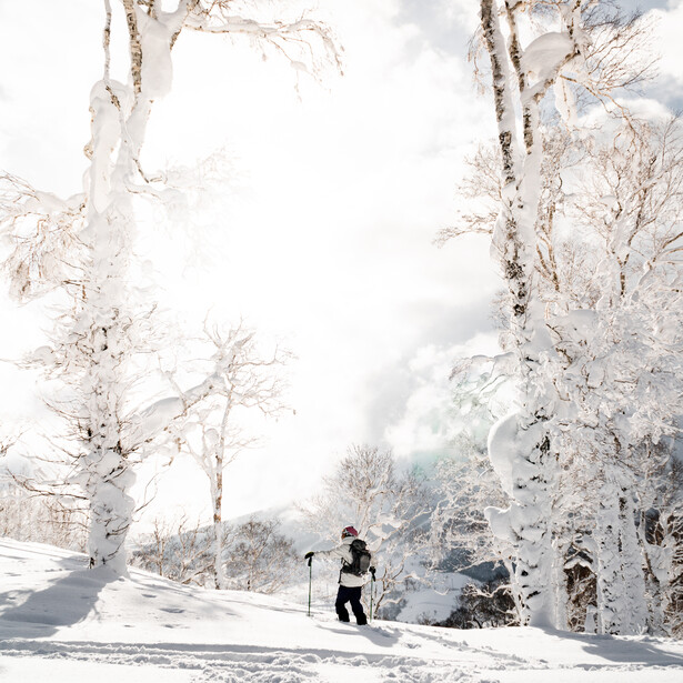 Skier descending snowy slope framed by frost-covered trees on both sides.